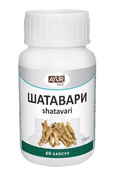 Шатавари (Shatavari) в таблетках